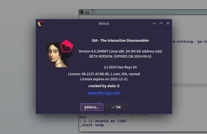 IDA Pro 9.0 Beta附带破解脚本 可尝鲜-AIGC资源中心