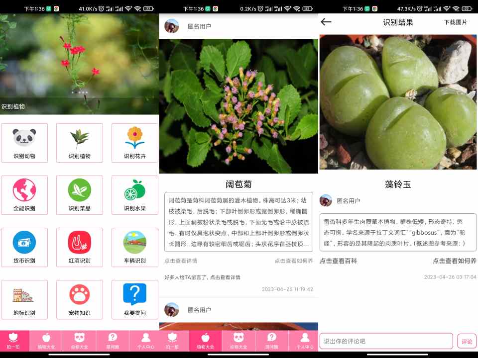 拍照识物app 识花草动物_安卓软件-AIGC资源中心