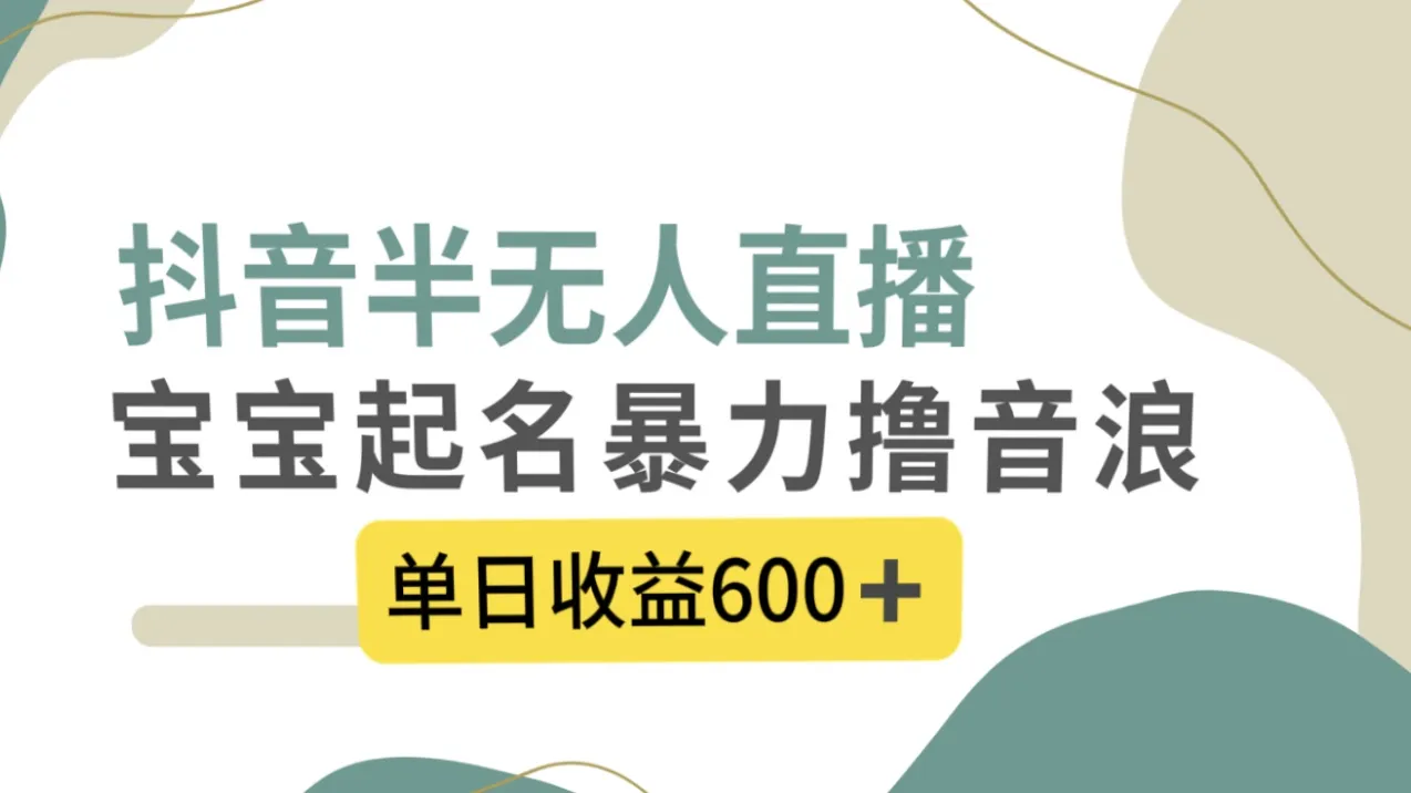 抖音半无人直播，宝宝起名，暴力撸音浪，单日收益600+3384期-AIGC资源中心