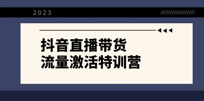 抖音直播带货-流量激活特训营，入行新手小白主播必学（21节课+资料）3378期-AIGC资源中心