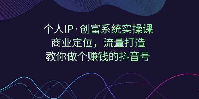个人IP创富系统实战课程:商业定位，流量打造，教你做一个赚钱的抖音号。2563期-AIGC资源中心