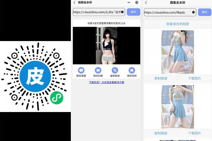 皮皮去水印王 支持百种平台_实用小程序-AIGC资源中心