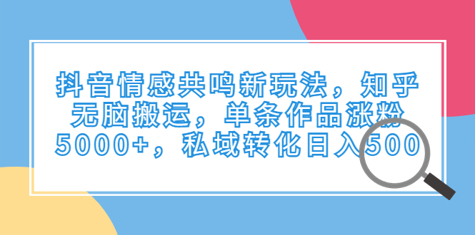 抖音情感共鸣新玩法，知乎无脑搬运，单个作品涨的5000+，私域转化日入5002169期-AIGC资源中心