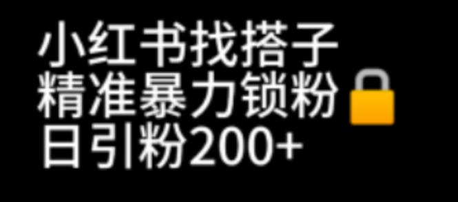 小红书找搭子暴力精准锁粉+引流日引200+精准粉2215期-AIGC资源中心