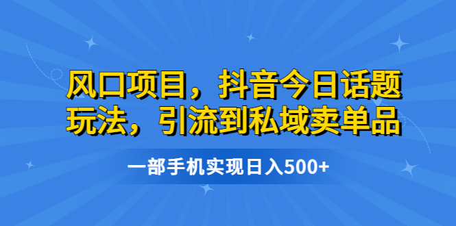 风口项目，抖音今日话题玩法，引流到私域卖单品，一部手机实现日入500+2010期-AIGC资源中心