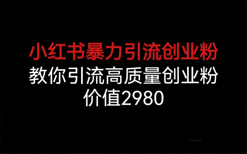 小红书暴力引流创业粉，教你引流优质创业粉，价值2980。2189期-AIGC资源中心