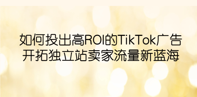 如何投放高ROITikTok广告，开拓独立站卖家流量新蓝海1515期-AIGC资源中心