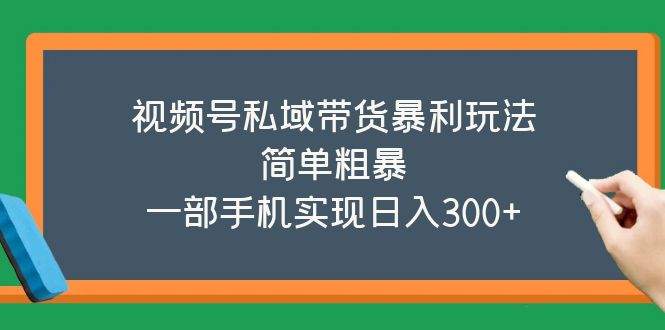 视频号私域带货暴利玩法，简单粗暴，一部手机实现日入300+978期-AIGC资源中心