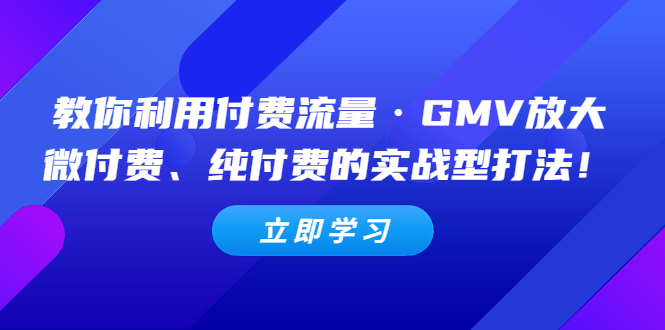 教你利用付费流量GMV放大，微付费，纯付费的实战打法。575期-AIGC资源中心