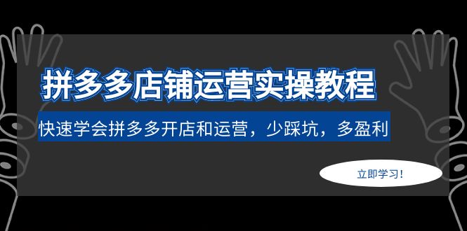 拼多多店铺运营实战课程:学会在拼多多快速开店运营，少踩坑，多盈利。436期-AIGC资源中心