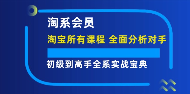 淘系会员【淘宝所有课程,全面分析对手】,初级到高手全系实战宝典-AIGC资源中心