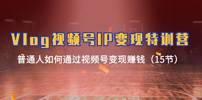 Vlog视频号IP变现特训营,普通人如何通过视频号变现赚钱（15节）-AIGC资源中心