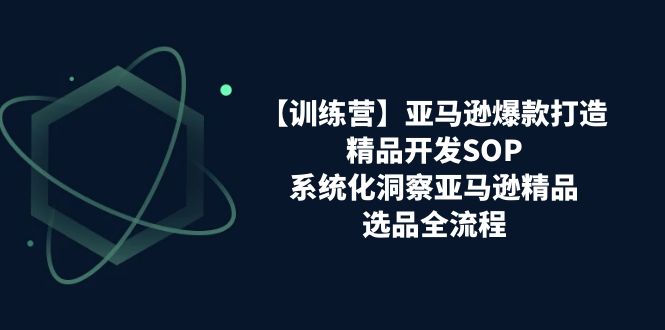 【训练营】亚马逊爆款打造之精品开发SOP,系统化洞察亚马逊精品选品全流程-AIGC资源中心