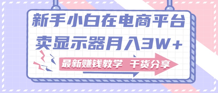 新手小白如何做到在电商平台卖显示器月入3W+,最新赚钱教学干货分享-AIGC资源中心