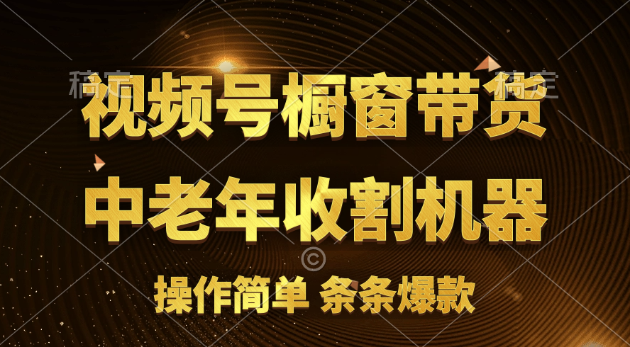 视频号最火爆赛道,橱窗带货,流量分成计划,条-AIGC资源中心