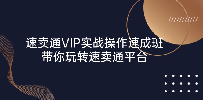 速卖通VIP实战操作-速成班,带你玩转速卖通平台（23节）-AIGC资源中心