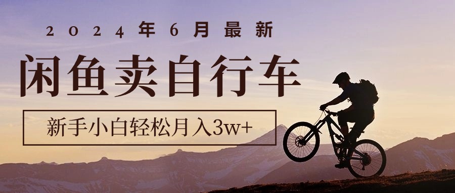 2024年6月最新闲鱼卖自行车,新手小白轻松月入3w+项目-AIGC资源中心