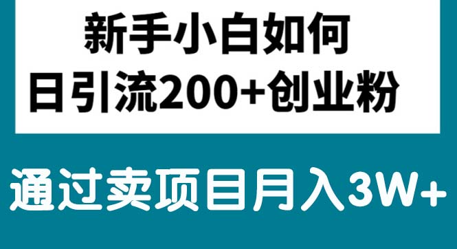 新手小白日引流200+创业粉,通过卖项目月入3W+-AIGC资源中心