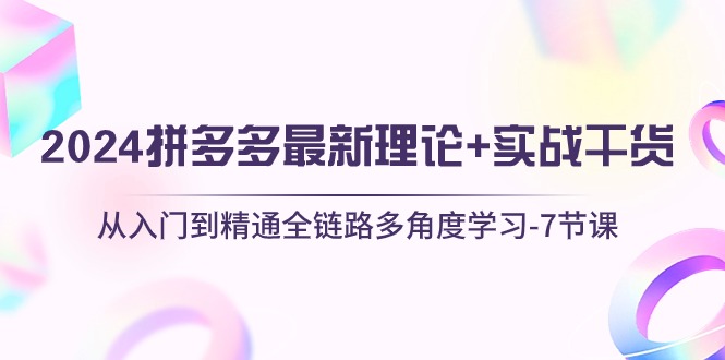 2024拼多多最新理论+实战干货,从入门到精通全链路多角度学习-7节课-AIGC资源中心