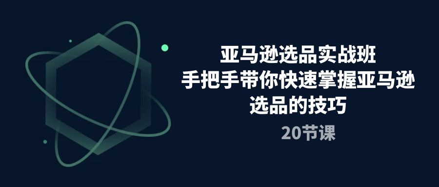 亚马逊选品实战班,手把手带你快速掌握亚马逊选品的技巧（20节课）-AIGC资源中心