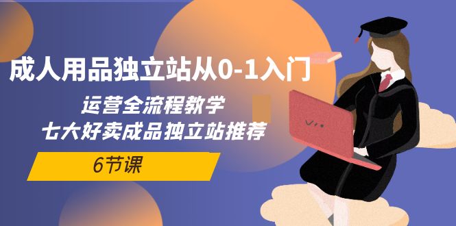 成人用品独立站从0-1入门,运营全流程教学,七大好卖成品独立站推荐-6节课-AIGC资源中心