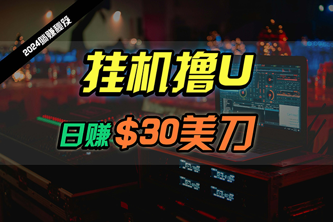日赚30美刀,2024最新海外挂机撸U内部项目,全程无人值守,可批量放大-AIGC资源中心