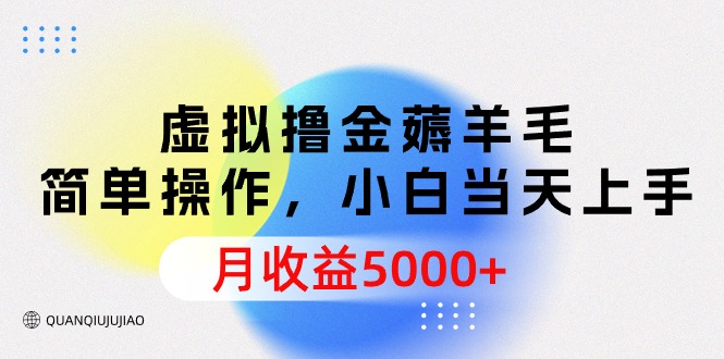 虚拟撸金薅羊毛,简单操作,小白当天上手,月收益5000+-AIGC资源中心