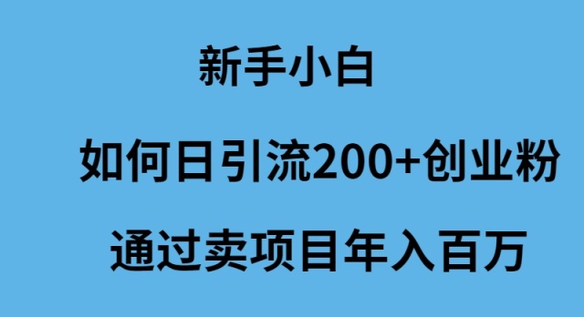 新手小白如何日引流200+创业粉通过卖项目年入百万-AIGC资源中心