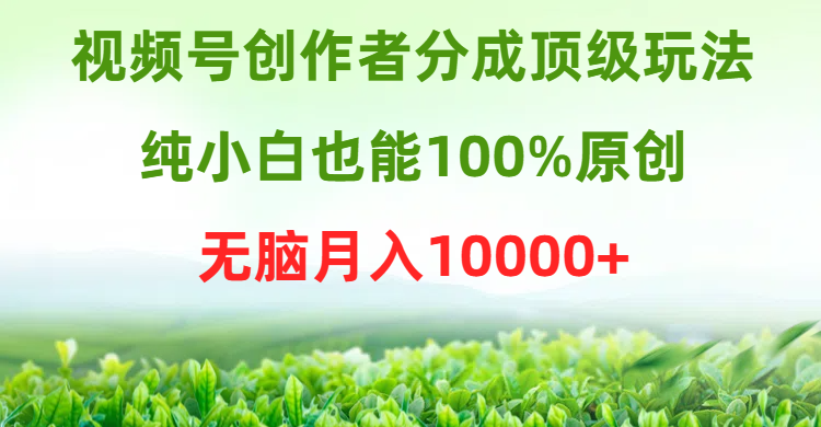 视频号创作者分成顶级玩法,纯小白也能100%原创,无脑月入10000+-AIGC资源中心