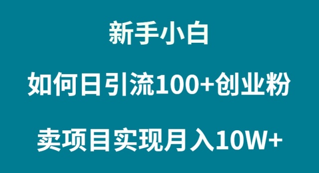 新手小白如何通过卖项目实现月入10W+-AIGC资源中心