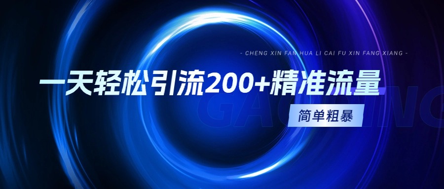 一天轻松引流200+精准流量,简单粗暴,一看就会-AIGC资源中心