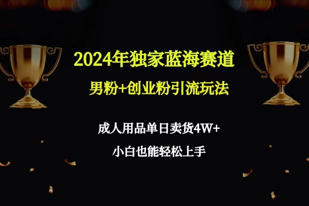2024年独家蓝海赛道男粉+创业粉引流玩法,成人用品单日卖货4W+保姆教程-AIGC资源中心