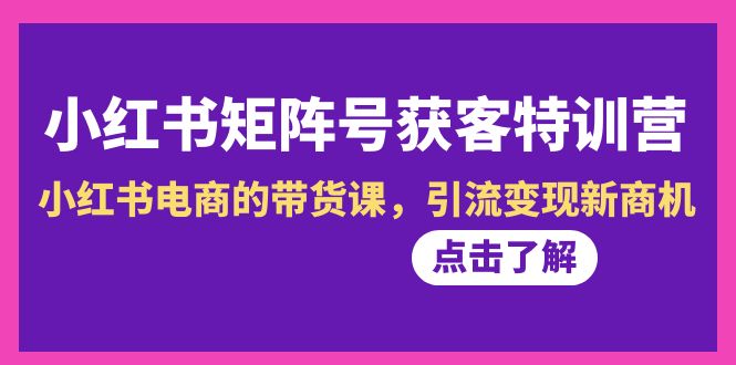 小红书-矩阵号获客特训营-第10期,小红书电商的带货课,引流变现新商机-AIGC资源中心