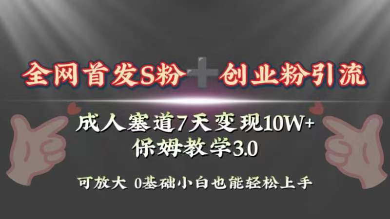 全网首发s粉加创业粉引流变现,成人用品赛道7天变现10w+保姆教学3.0-AIGC资源中心