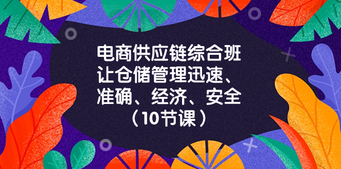 电商-供应链综合班,让仓储管理迅速、准确、经济、安全!（10节课）(电商-供应链综合班10节课助你提升仓储管理效率与准确性)-AIGC资源中心