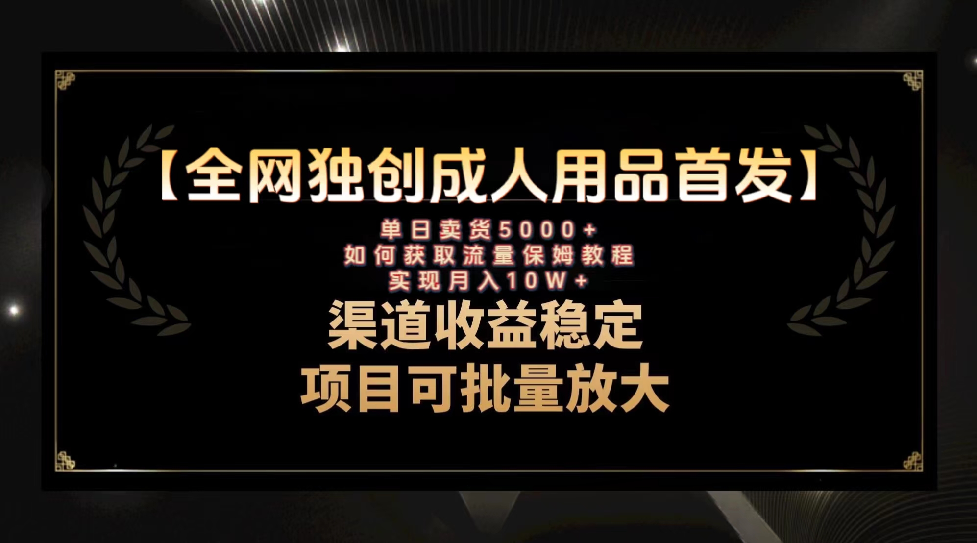 最新全网独创首发,成人用品赛道引流获客,月入10w保姆级教程-AIGC资源中心