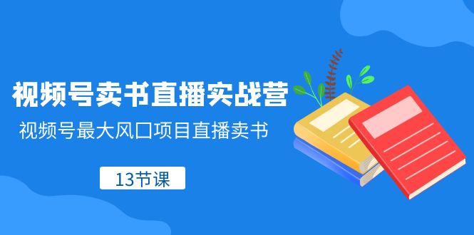 视频号-卖书直播实战营,视频号最大风囗项目直播卖书（13节课）(全面解析视频号直播卖书实战技巧与策略)-AIGC资源中心