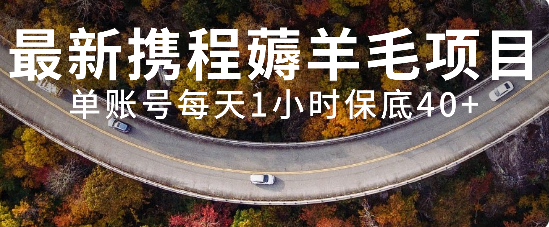 最新携程薅羊毛项目,单账号每天1小时保底收益40+,可矩阵操作(“最新携程薅羊毛项目详解轻松赚取额外收益”)-AIGC资源中心