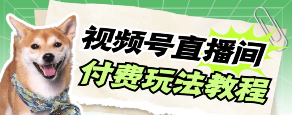 视频号美女付费无人直播,轻松日入500+【详细玩法教程】(探索视频号美女付费无人直播的盈利之道)-AIGC资源中心