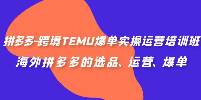 拼多多-跨境TEMU爆单实操运营培训班,海外拼多多的选品、运营、爆单(全面解析拼多多跨境TEMU运营策略与技巧)-AIGC资源中心