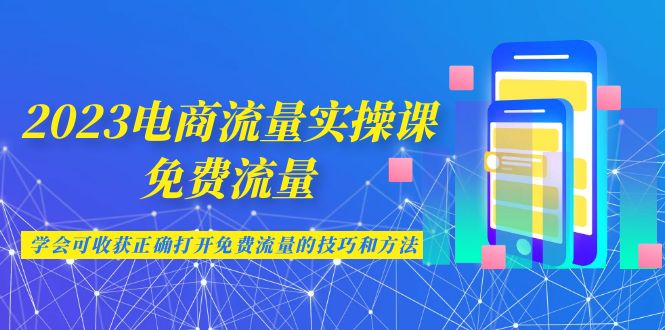 2023电商流量实操课-免费流量,学会可收获正确打开免费流量的技巧和方法(全面解析电商流量获取与优化策略)-AIGC资源中心