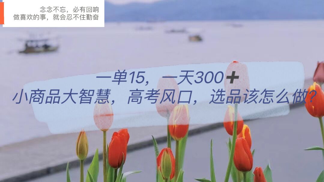 一单15,一天300+,小商品大智慧,高考风口,选品该怎么布局(“高考风口下的小商品大智慧选品布局与快速变现策略”)-AIGC资源中心