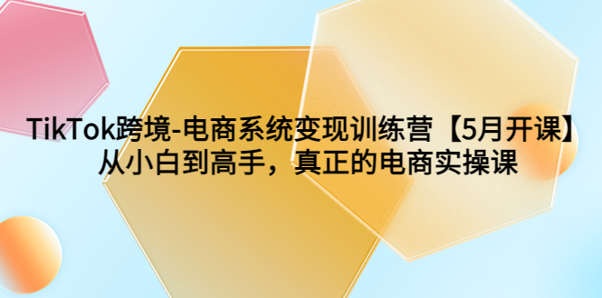 TikTok跨境-电商系统变现训练营【5月新课】从小白到高手,真正的电商实操课(全面掌握TikTok跨境电商运营技巧,助您成为电商高手)-AIGC资源中心