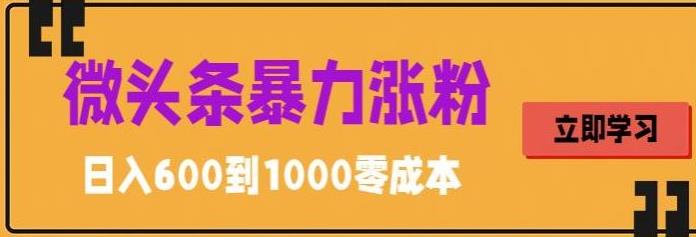微头条暴力涨粉技巧搬运文案就能涨几万粉丝,简单0成本,日赚600(微头条涨粉秘籍简单搬运文案,轻松日赚600)-AIGC资源中心