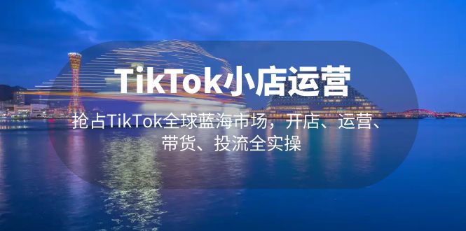 TikTok小店运营抢占TikTok全球蓝海市场,开店、运营、带货、投流全实操(掌握TikTok小店运营全攻略,抢占全球蓝海市场)-AIGC资源中心