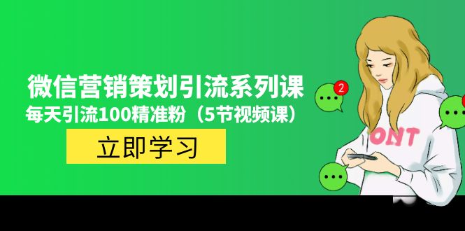 价值百万的微信营销策划引流系列课,每天引流100精准粉（5节视频课）(微信营销策划引流系列课程每天吸引100精准粉丝的秘诀)-AIGC资源中心