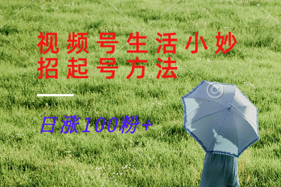 视频号生活小妙招分享赛道,起号涨粉新方法,日涨100粉-AIGC资源中心