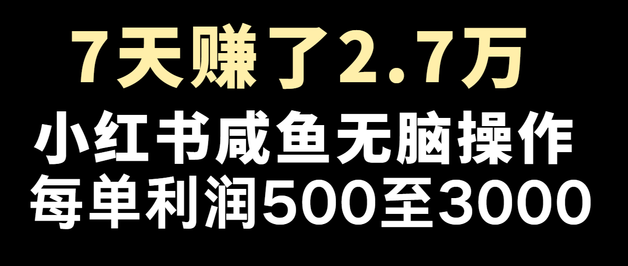七天赚了2.7万!每单利润最少500+,轻松月入5万+小白有手就行-AIGC资源中心