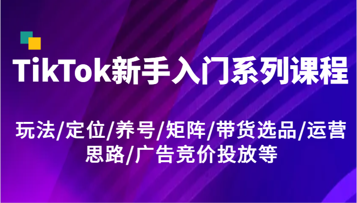 TikTok新手入门系列课程,玩法定位养号矩阵带货选品运营思路广告竞价投放等-AIGC资源中心