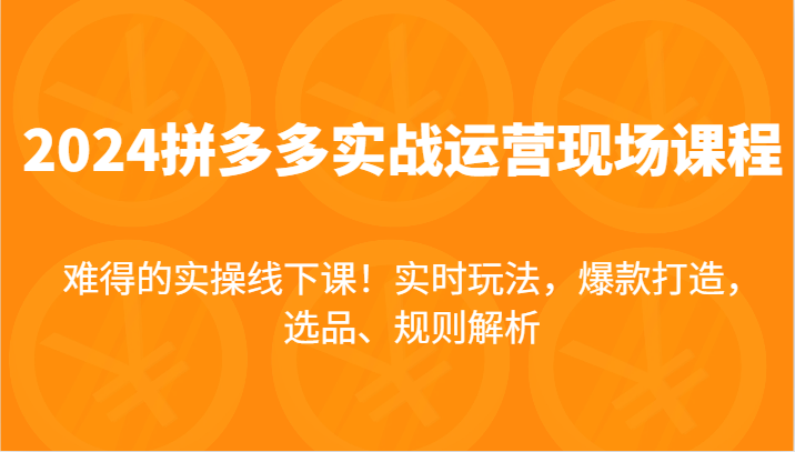 2024拼多多实战运营现场课,实时玩法,爆款打造,选品、规则解析,难得的实操线下课!-AIGC资源中心